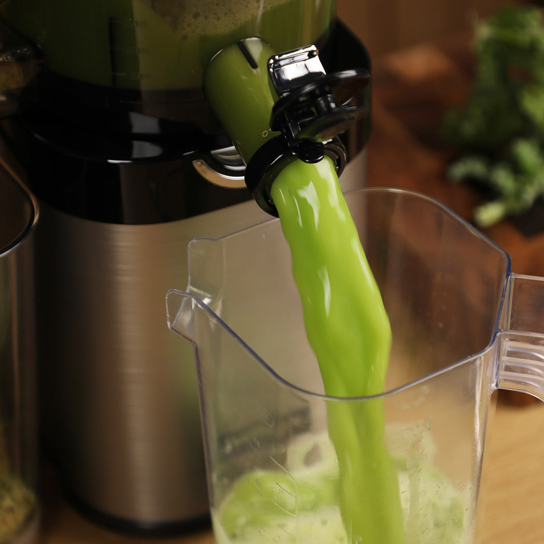 CS800 Whole Slow Juicer Master Chef