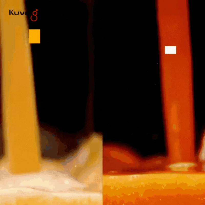 CB1000 Professional Auto Vacuum Blender