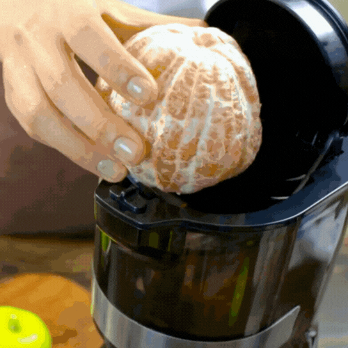 CS600 Whole Slow Juicer Chef