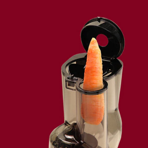 REVO830 WHOLE SLOW JUICER