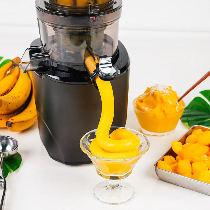 REVO830 WHOLE SLOW JUICER