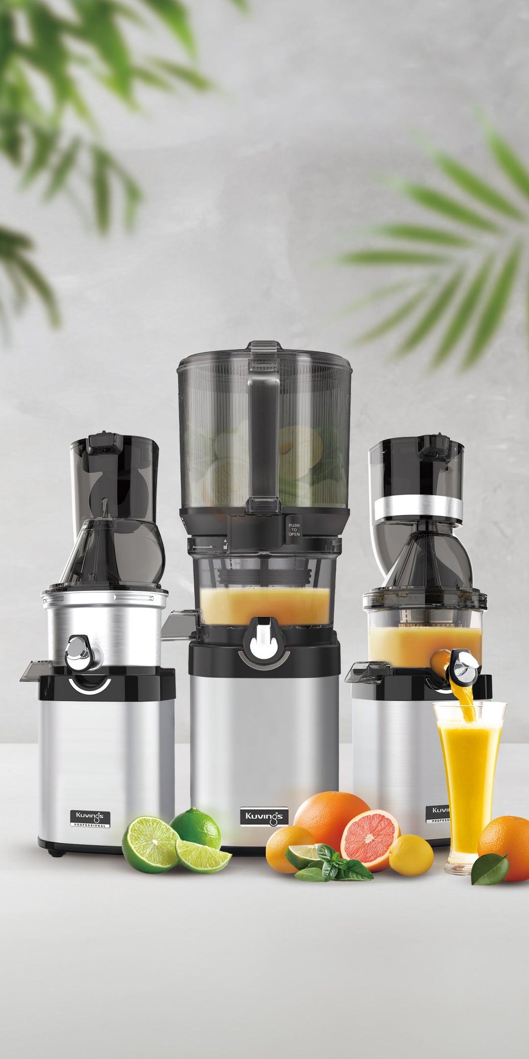 CS800 Whole Slow Juicer Master Chef