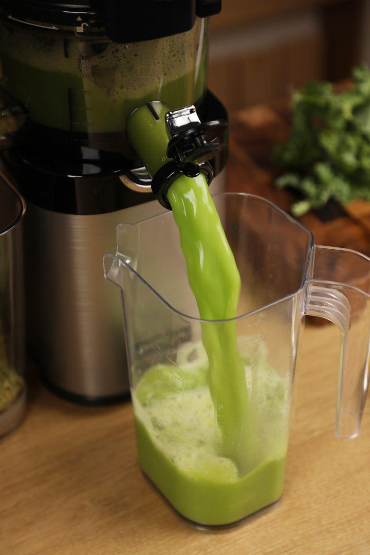CS800 Whole Slow Juicer Master Chef