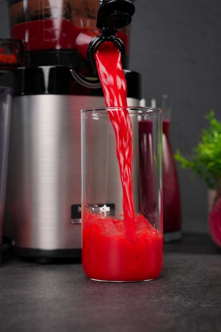 CS800 Whole Slow Juicer Master Chef