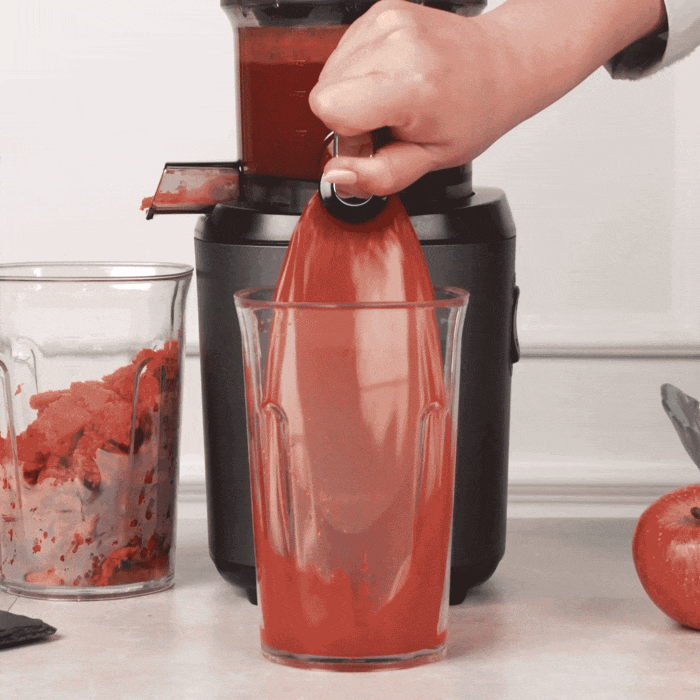 AUTO6 HANDS-FREE SLOW JUICER